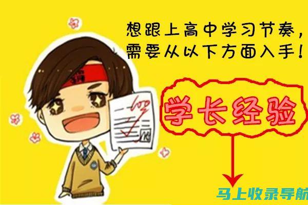 初学者如何快速入门SEO：实用教程与策略分享